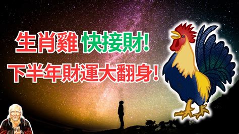 屬雞幸運色|【雞 幸運色】2024雞年幸運色大公開！屬雞者必看，助你新年好。